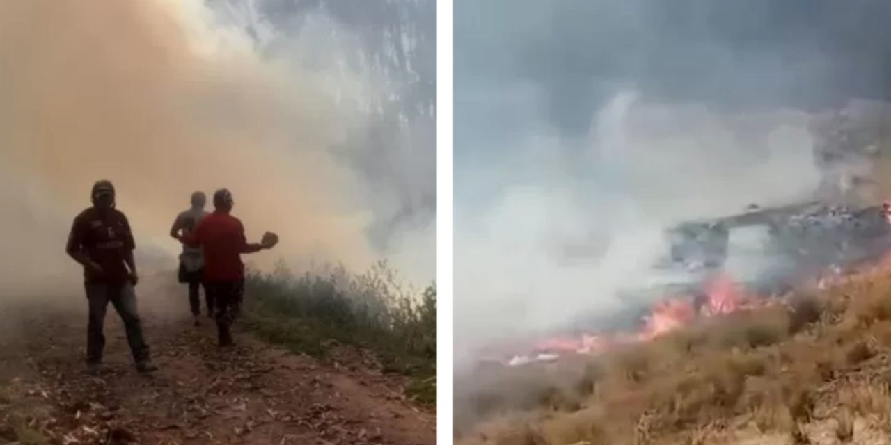 ¡Alerta! Incendio forestal estuvo activo por 9 horas en Huánuco