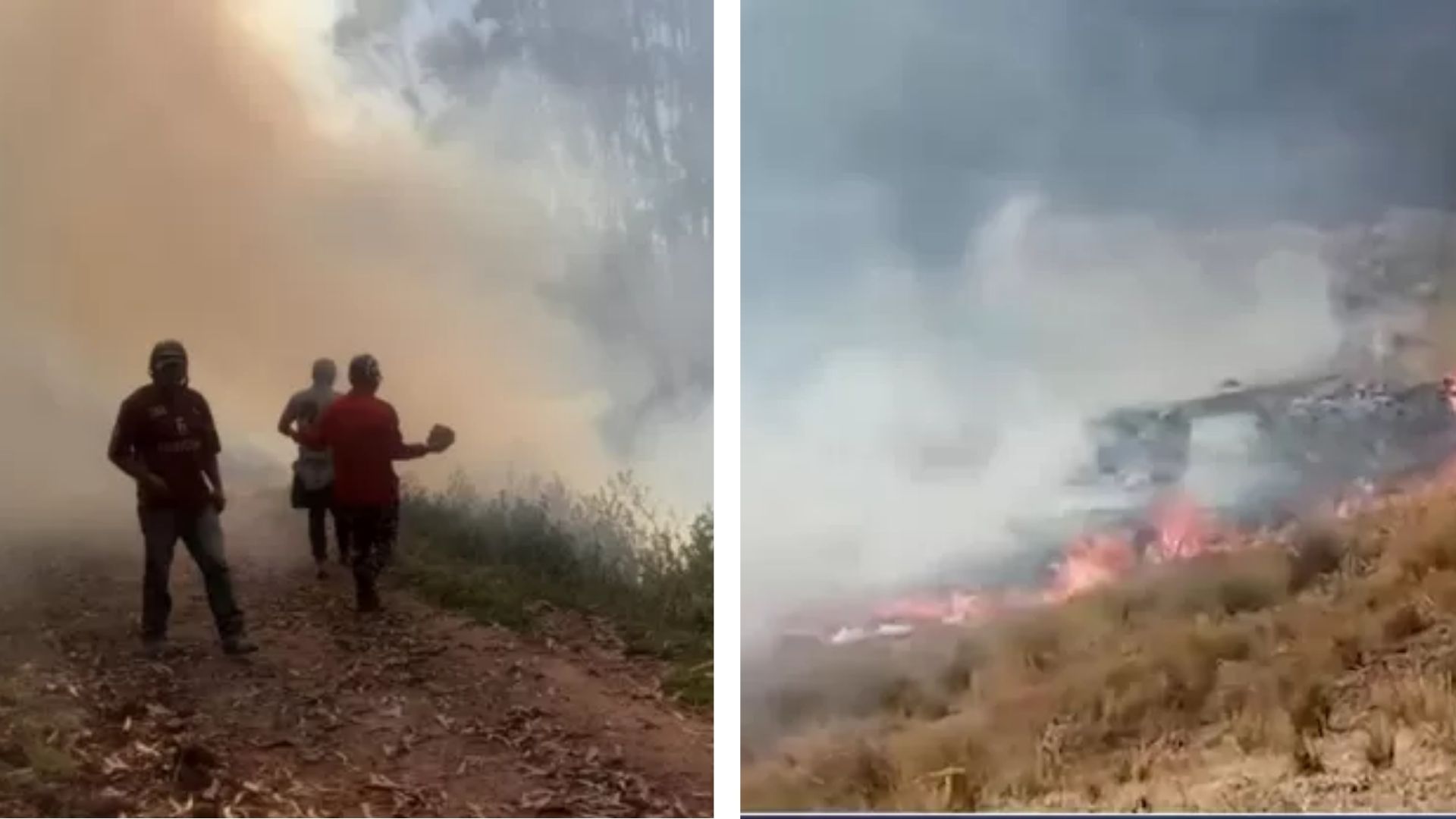 ¡Alerta! Incendio forestal estuvo activo por 9 horas en Huánuco