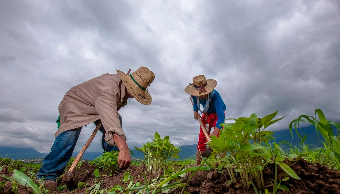 INEI: Producción nacional creció 2,49 %