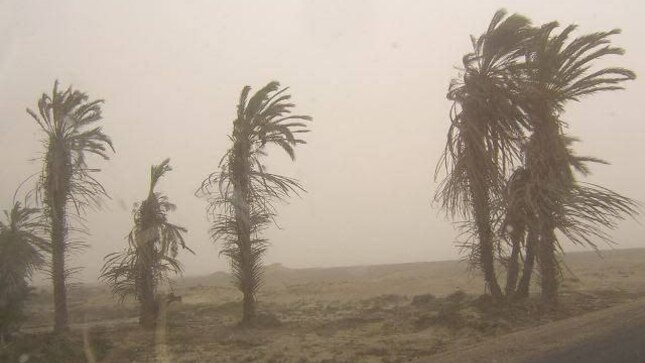 Senamhi prevé fuertes vientos en la costa