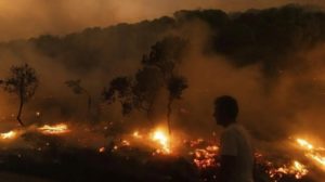 Atenas: Incendio forestal obliga a evacuar a miles de personas