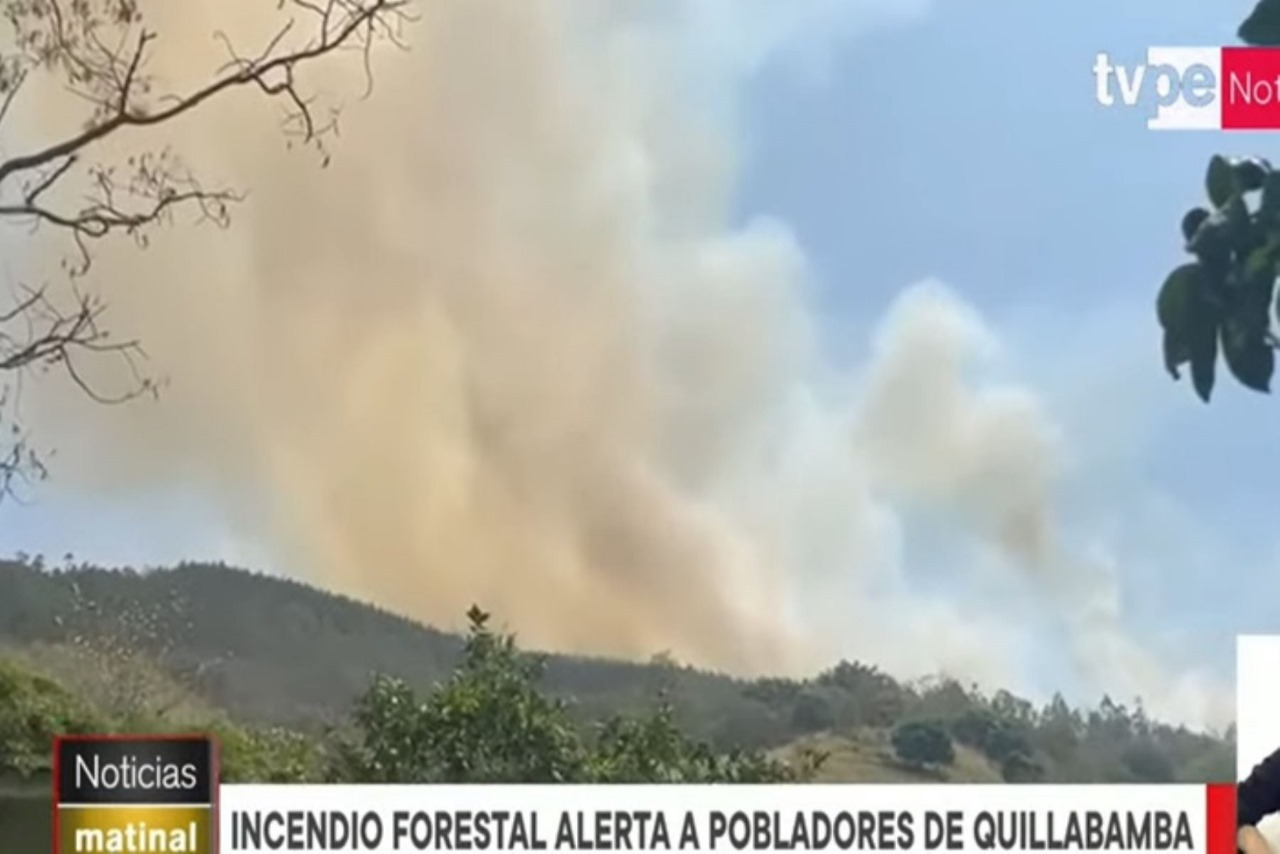 Cusco: Incendio forestal devasta bosque de reforestación y cultivos en Quillabamba