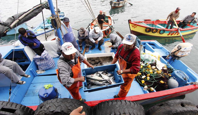 La producción pesquera acumula un incremento del 45,02% en el primer semestre