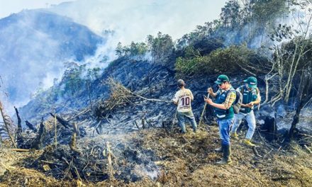 Primavera llega con lluvias que ayudarán a controlar incendios forestales