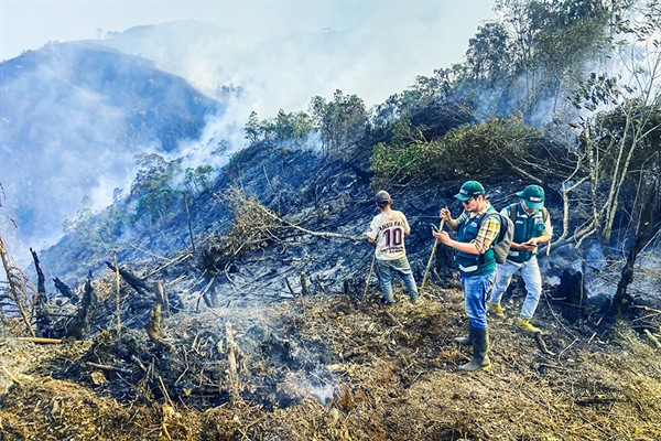 Primavera llega con lluvias que ayudarán a controlar incendios forestales