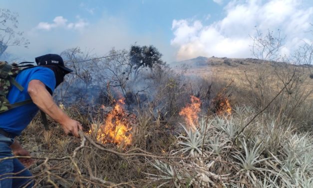 Áncash registra tercera víctima mortal por incendios forestales en lo que va del año