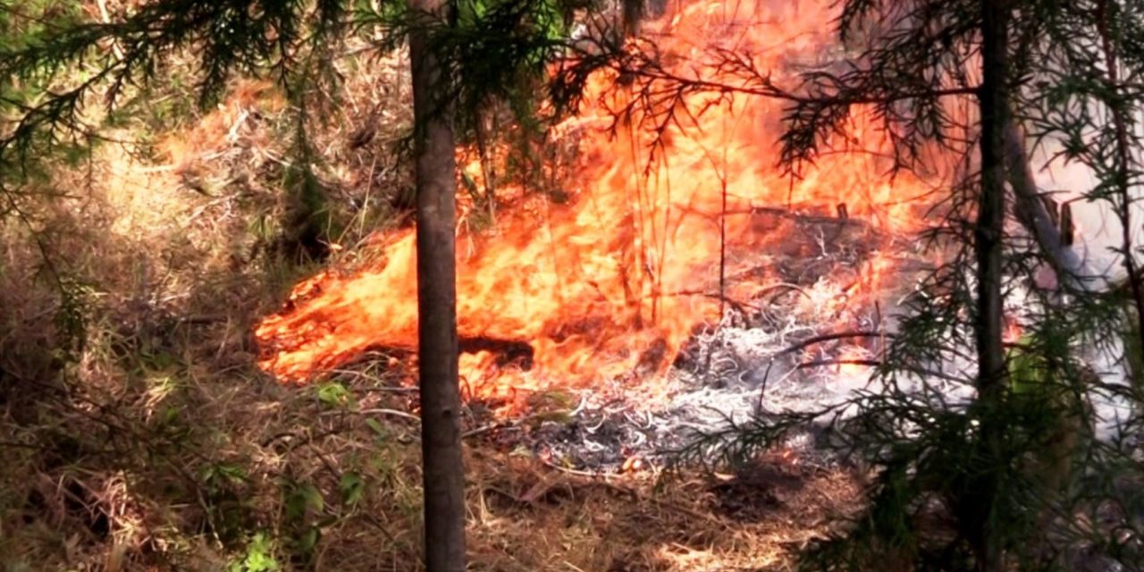 Incendios forestales en Cajamarca consumen más de 10,000 hectáreas de bosques y cultivos