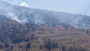 Indeci reporta 6 incendios forestales extinguidos en cuatro regiones