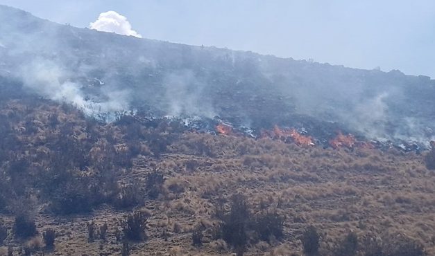 Indeci reporta 6 incendios forestales extinguidos en cuatro regiones