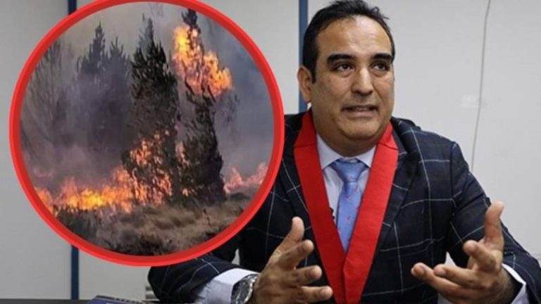 10 años de cárcel a quien cause incendios forestales