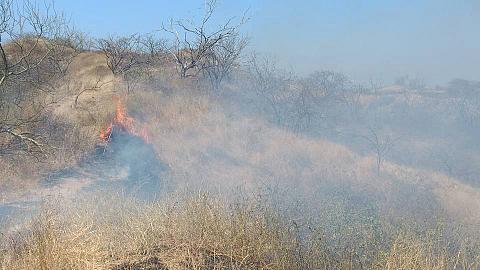 Tumbes: FAP arrojó 5 mil litros de agua a incendio forestal