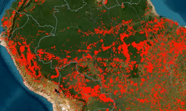 Incendios forestales desatan emergencia en diversas regiones del Perú