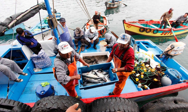 Pescadores de Piura denuncian escasez de pota y culpan a la pesca ilegal de barcos chinos