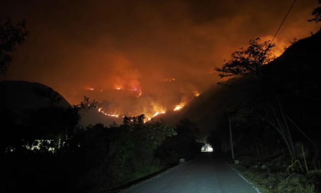 Incendio forestal pone en peligro el área de conservación Corosha y sus especies vulnerables