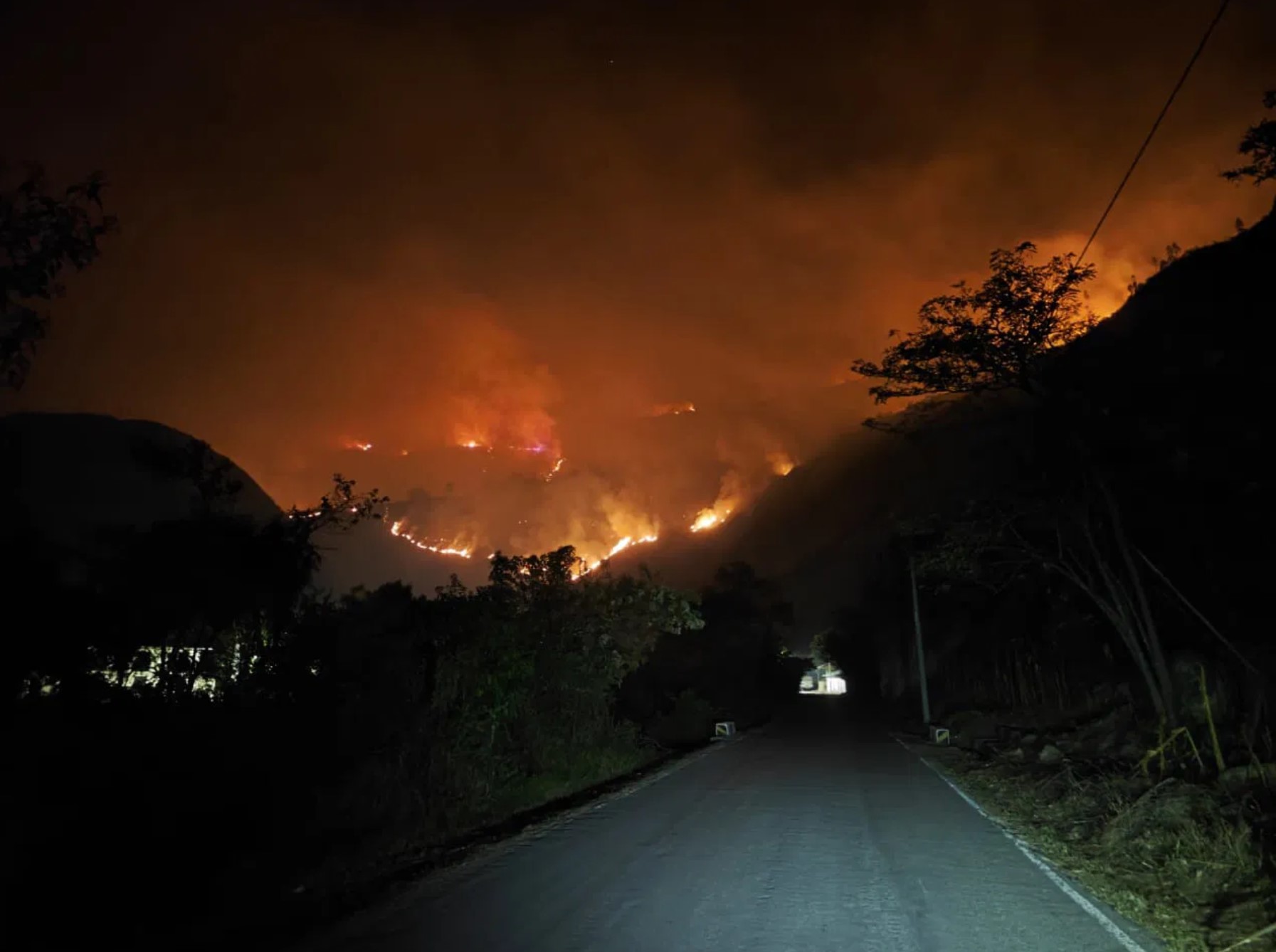 Incendio forestal pone en peligro el área de conservación Corosha y sus especies vulnerables