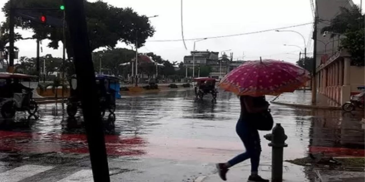 ¡Alerta! Senamhi prevé lluvias medianas a intensas en la Selva