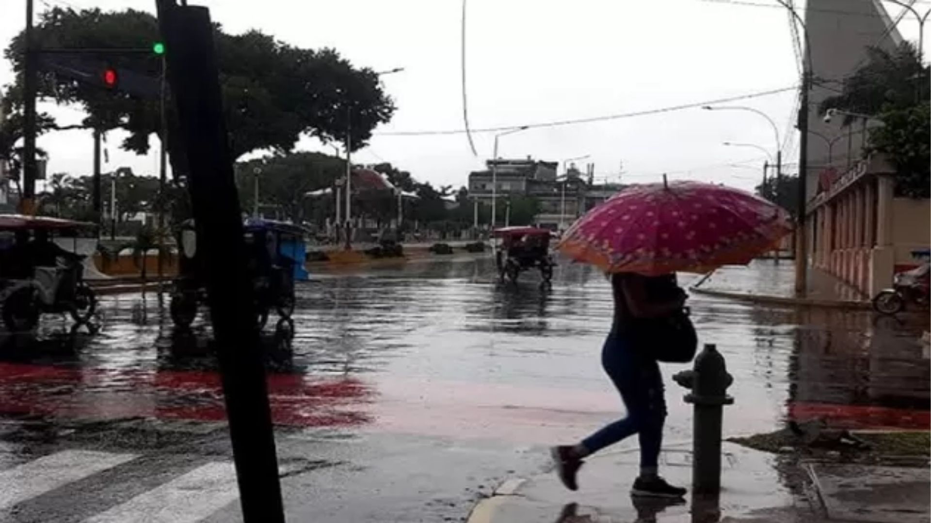 ¡Alerta! Senamhi prevé lluvias medianas a intensas en la Selva