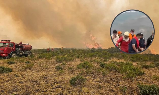 Un hombre resultó herido al intentar apagar incendio forestal