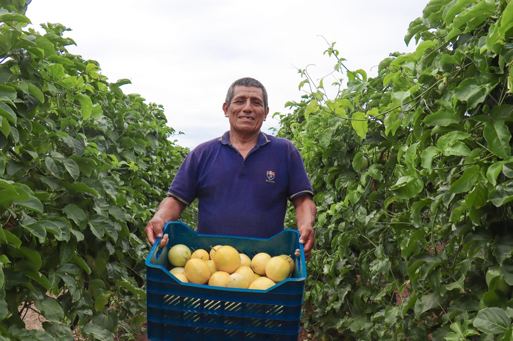 Proyecto Perú Hub conectará agricultores con inversionistas en feria Expoalimentaria 2024