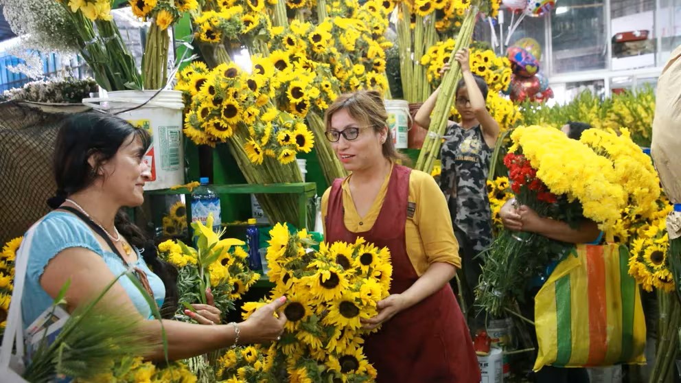 Flores amarillas: La tradición que marca el Inicio de la primavera en Perú