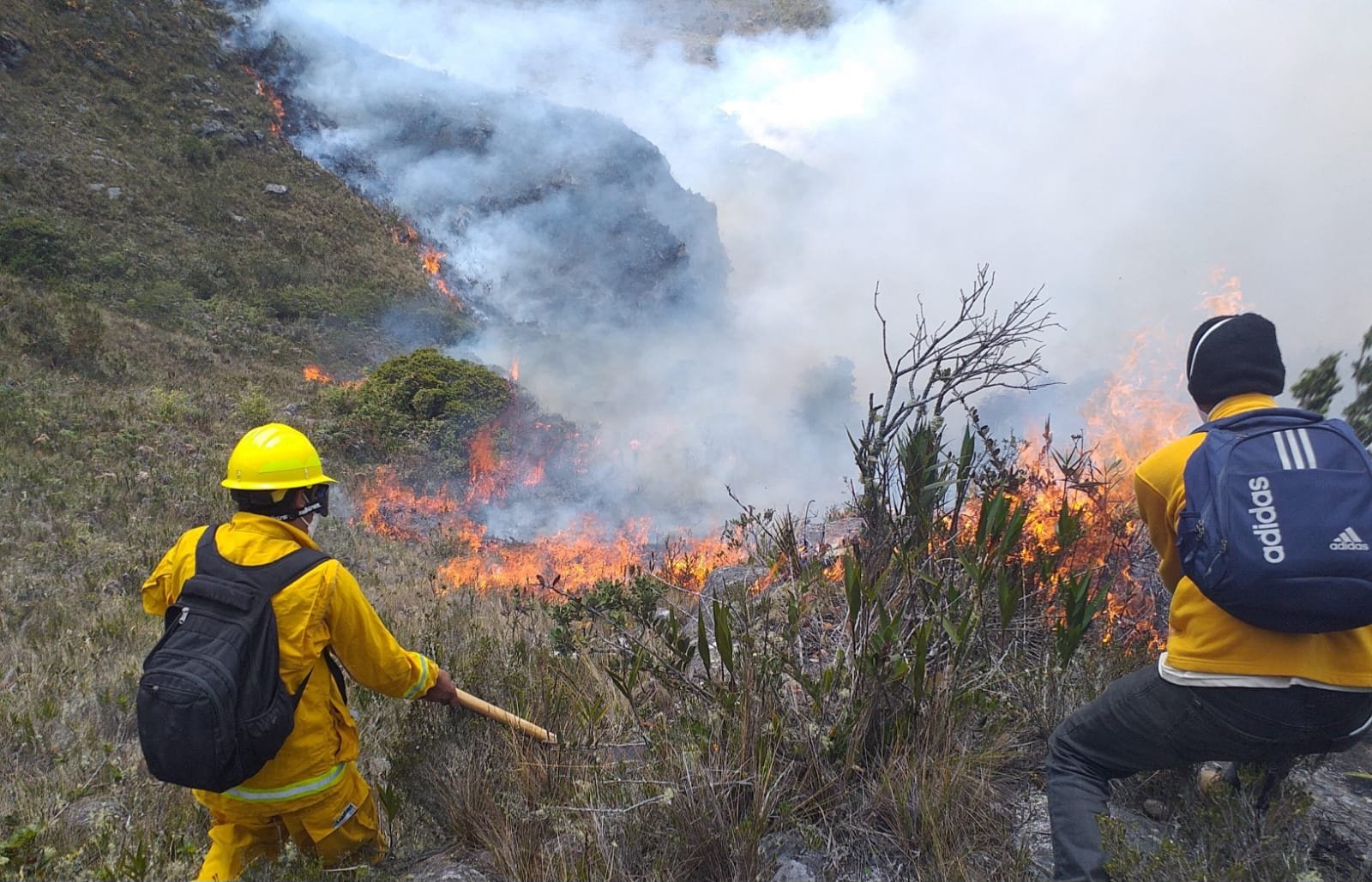 Se alistan marchas por incendios forestales