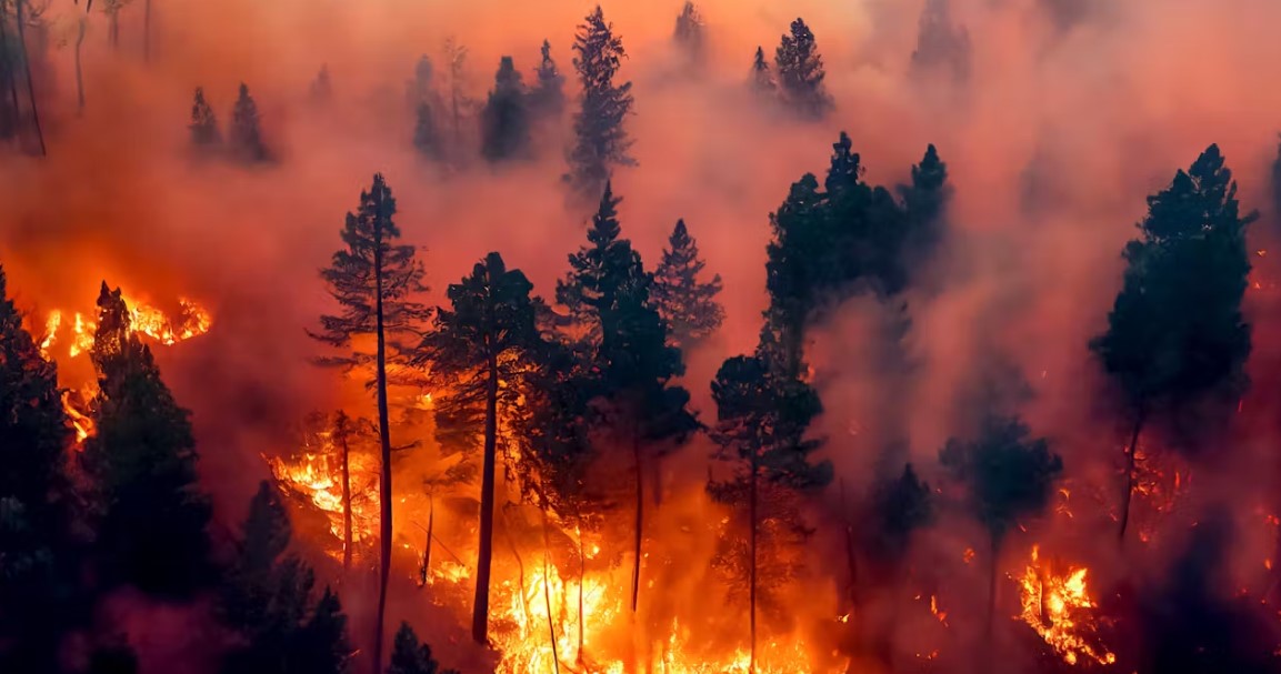 Gobierno declara estado de emergencia a Amazonas, San Martín y Ucayali por incendios forestales