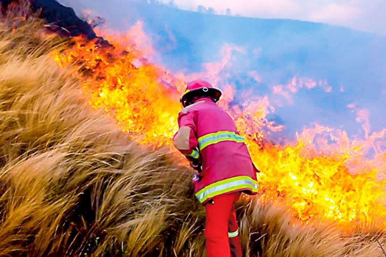 Incendios forestales: Guardaparques y bomberos luchan en todas las regiones de Perú