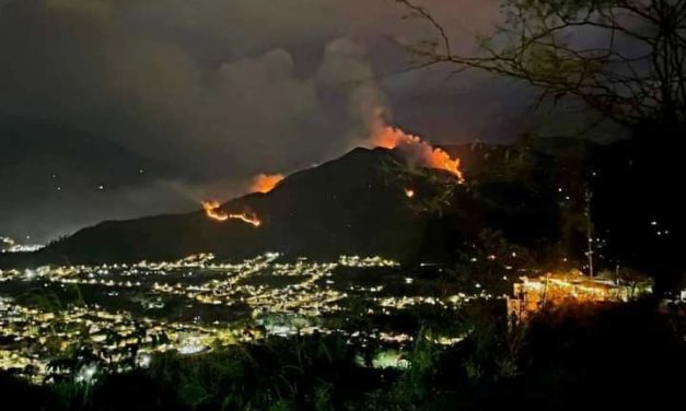 Incendio consume 50 hectáreas de vegetación en Cusco