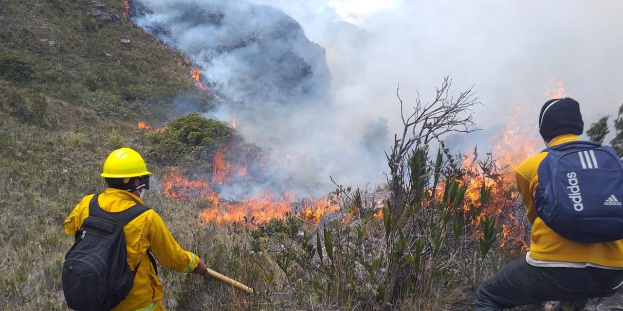 Incendios forestales: ¿Cuánto dinero se pierde en cultivos?