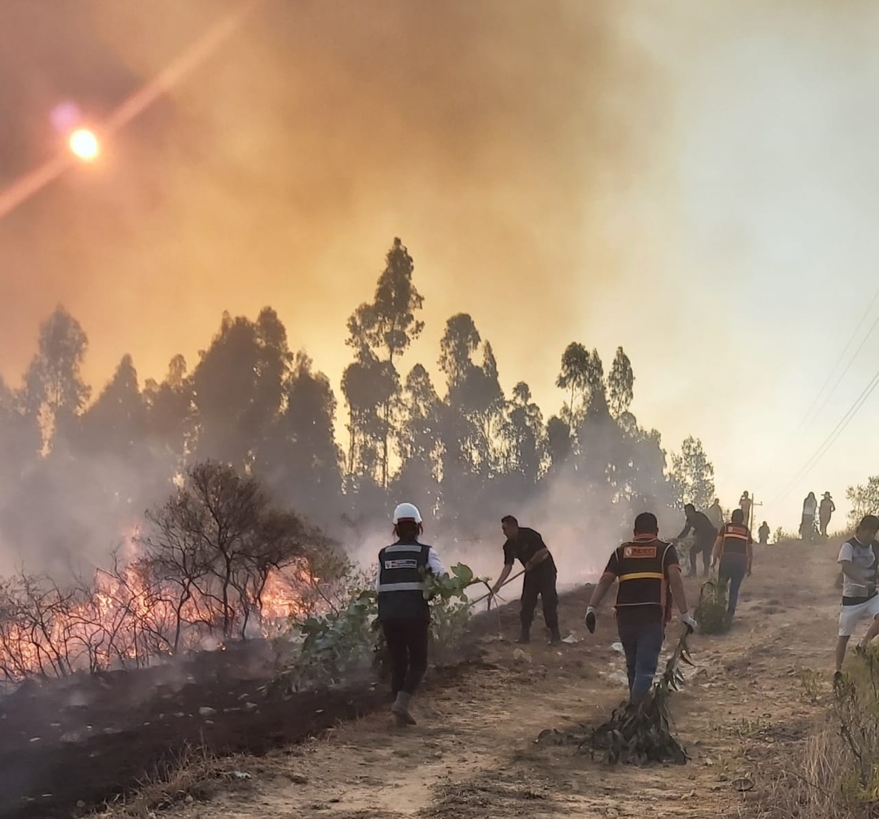 Incendio forestal arrasa con cerca de 700 hectáreas en el área de conservación Milpuj, Amazonas