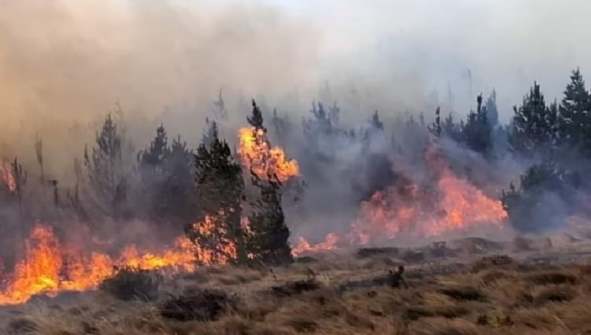 Incendios forestales ha dejado 20 fallecidos y 150 heridos