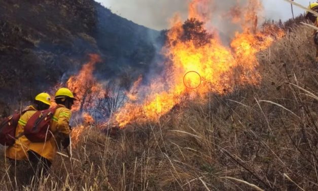 Piden acción inmediata del Gobierno para controlar incendios forestales en Amazonas