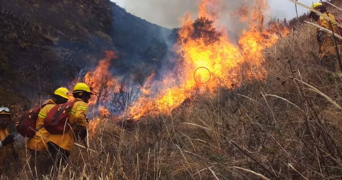 Piden acción inmediata del Gobierno para controlar incendios forestales en Amazonas