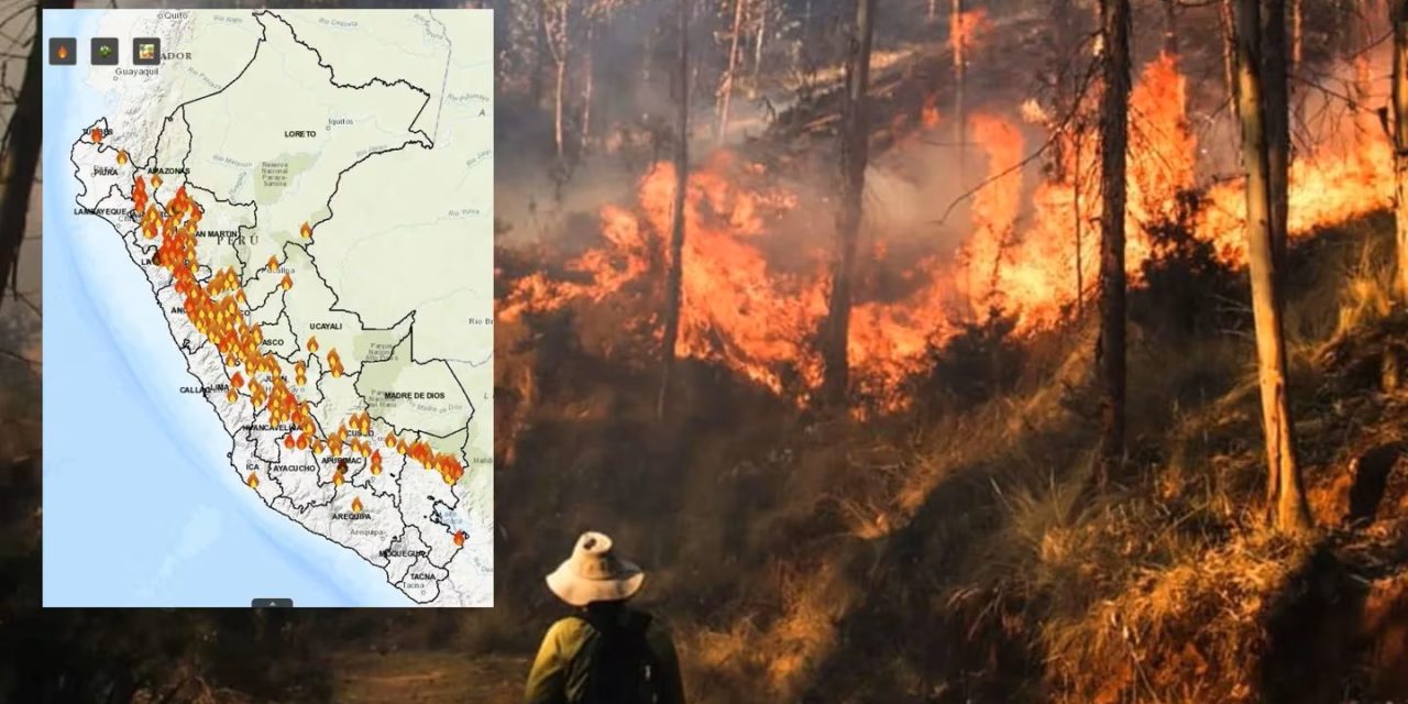 Incendios forestales golpean a 22 regiones del Perú: Indeci asegura que no se requiere ayuda internacional