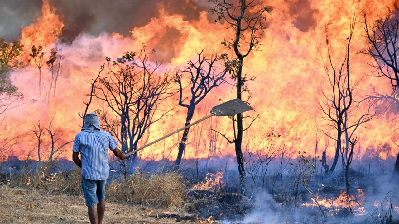 Promperú advierte que incendios forestales afectarán el turismo en la selva