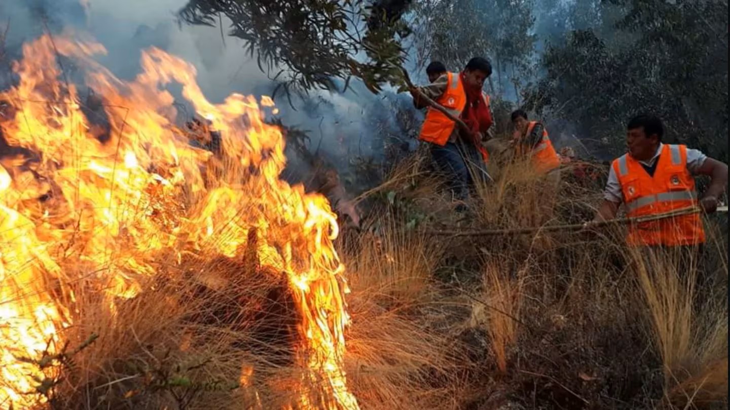 Incendio forestal en Huaral pone en riesgo a población rural