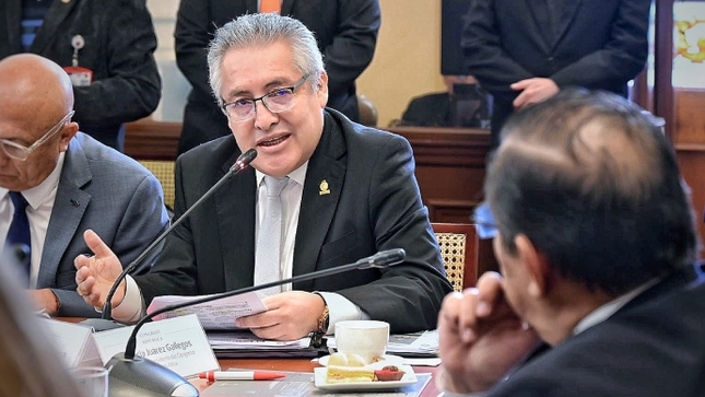 Fiscal Villena solicitó revisar penas para la delincuencia en el país