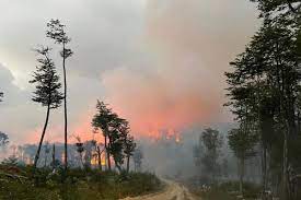 Mancomunidad Amazónica exige al Gobierno la declaratoria de emergencia ambiental por incendios forestales