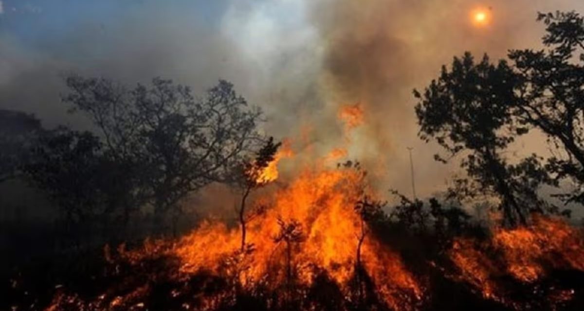 Primer Ministro minimiza incendios forestales