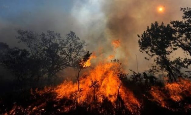 Primer Ministro minimiza incendios forestales