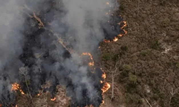 incendio forestal