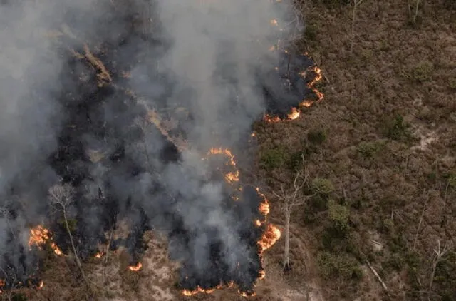 incendio forestal