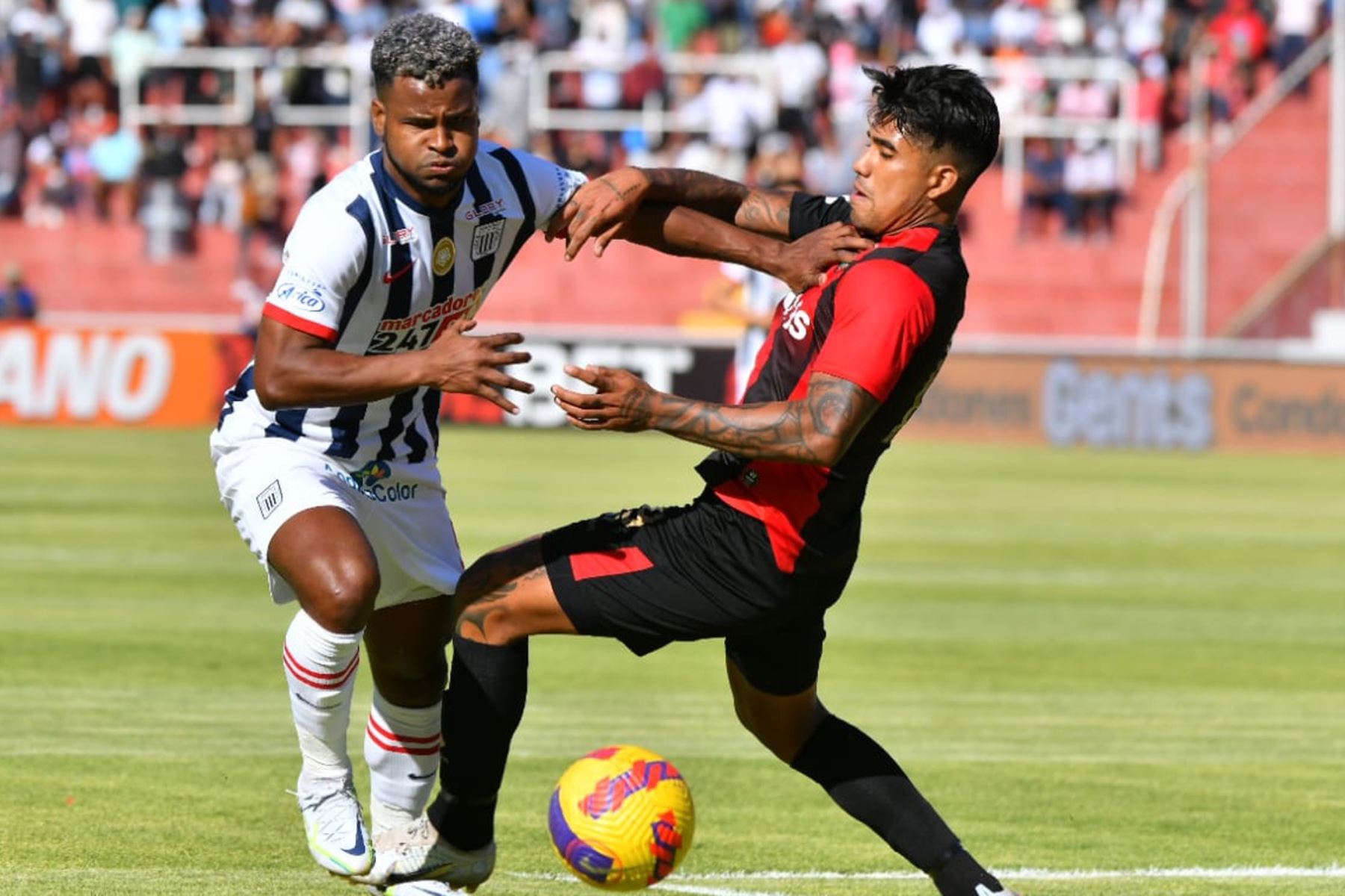 Melgar se juega hoy su última carta ante Atlético Grau