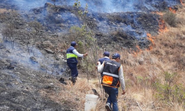 Extinguidos incendios forestales en Áncash y Cusco mientras nuevos focos se mantienen activos en otras regiones