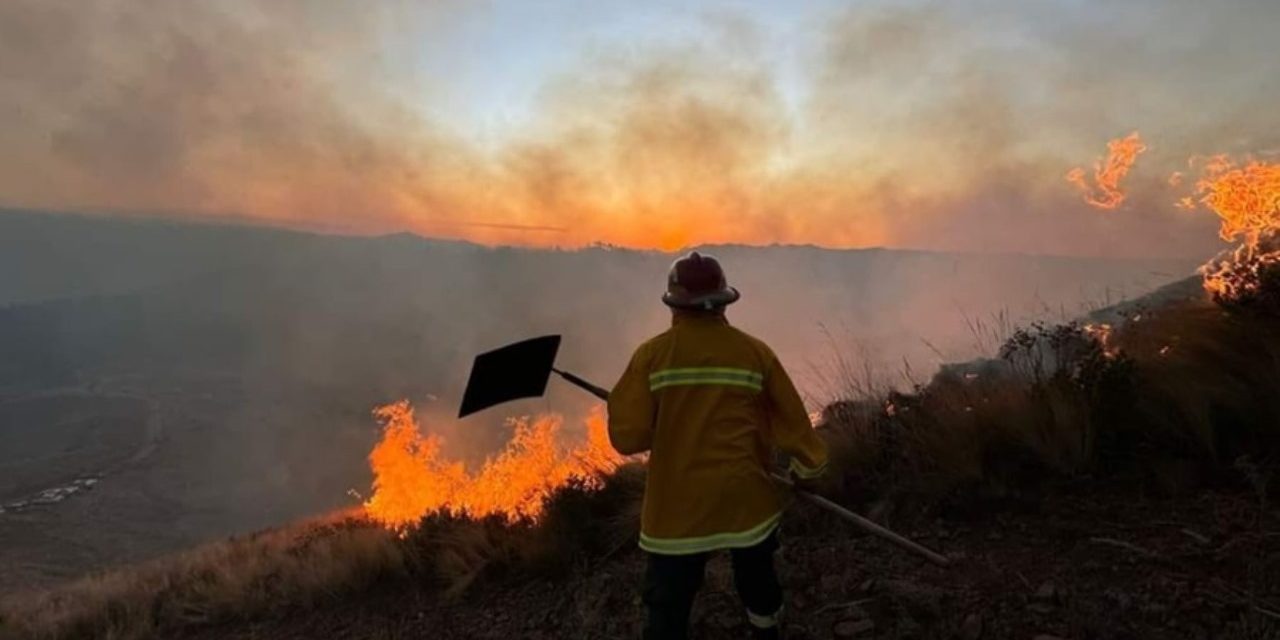 Diez fallecidos y casi 2 mil damnificados por incendios forestales en el 2024