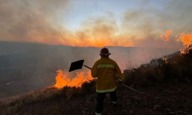 Diez fallecidos y casi 2 mil damnificados por incendios forestales en el 2024