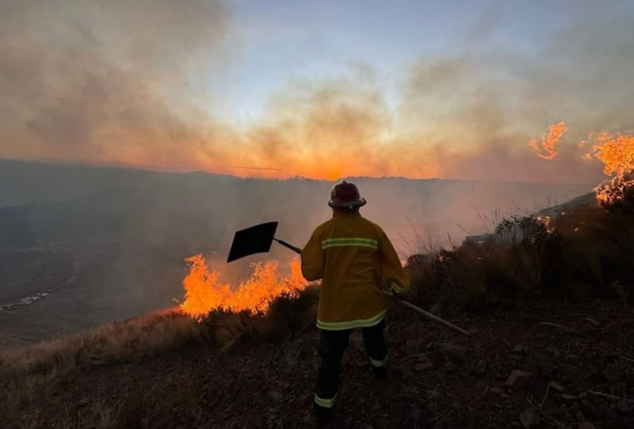 Diez fallecidos y casi 2 mil damnificados por incendios forestales en el 2024