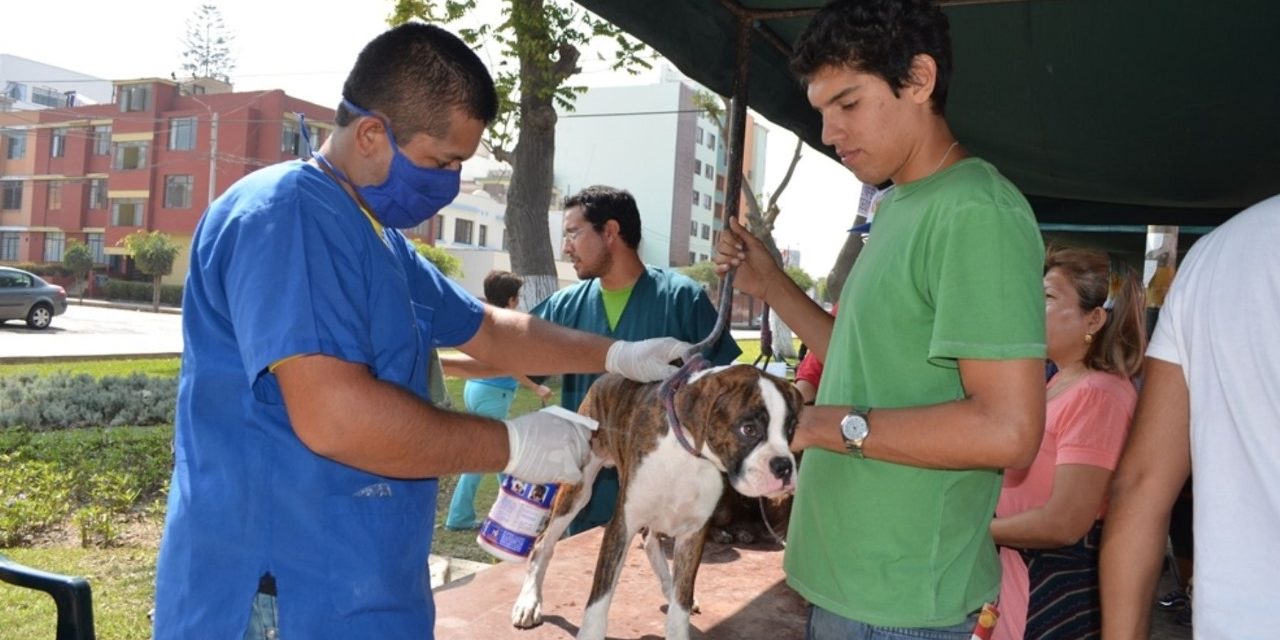 San Isidro lanza campaña veterinaria gratuita para mascotas