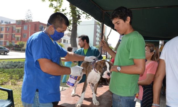 San Isidro lanza campaña veterinaria gratuita para mascotas