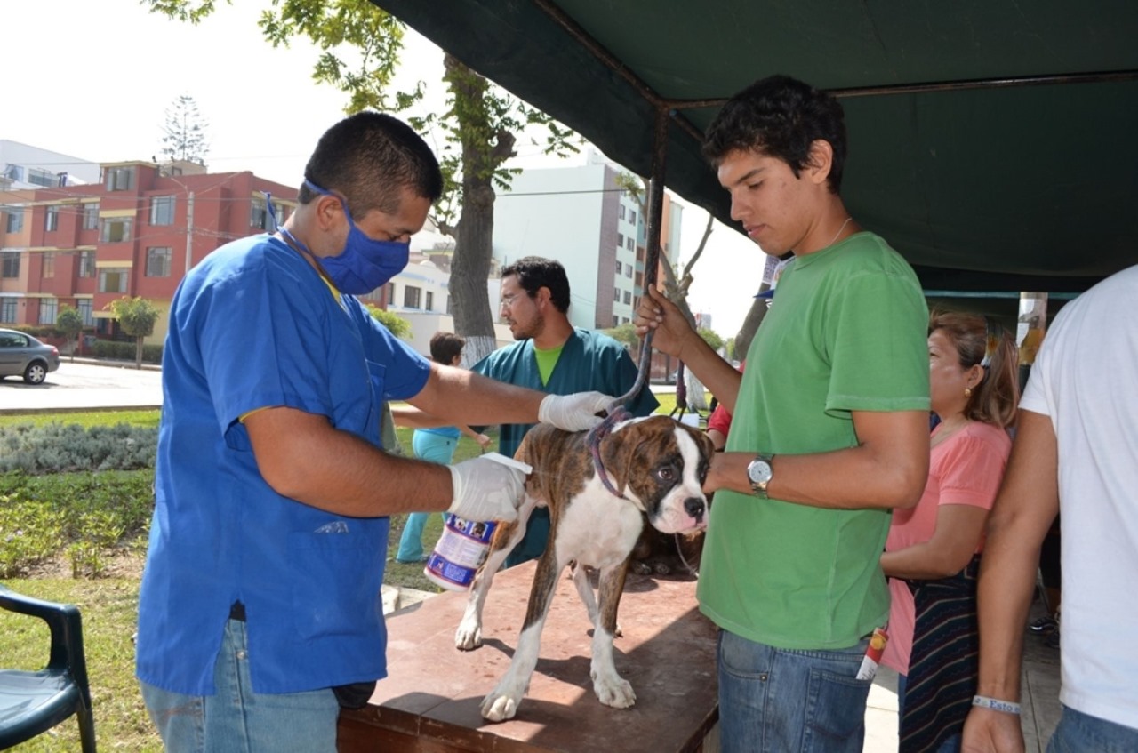 San Isidro lanza campaña veterinaria gratuita para mascotas